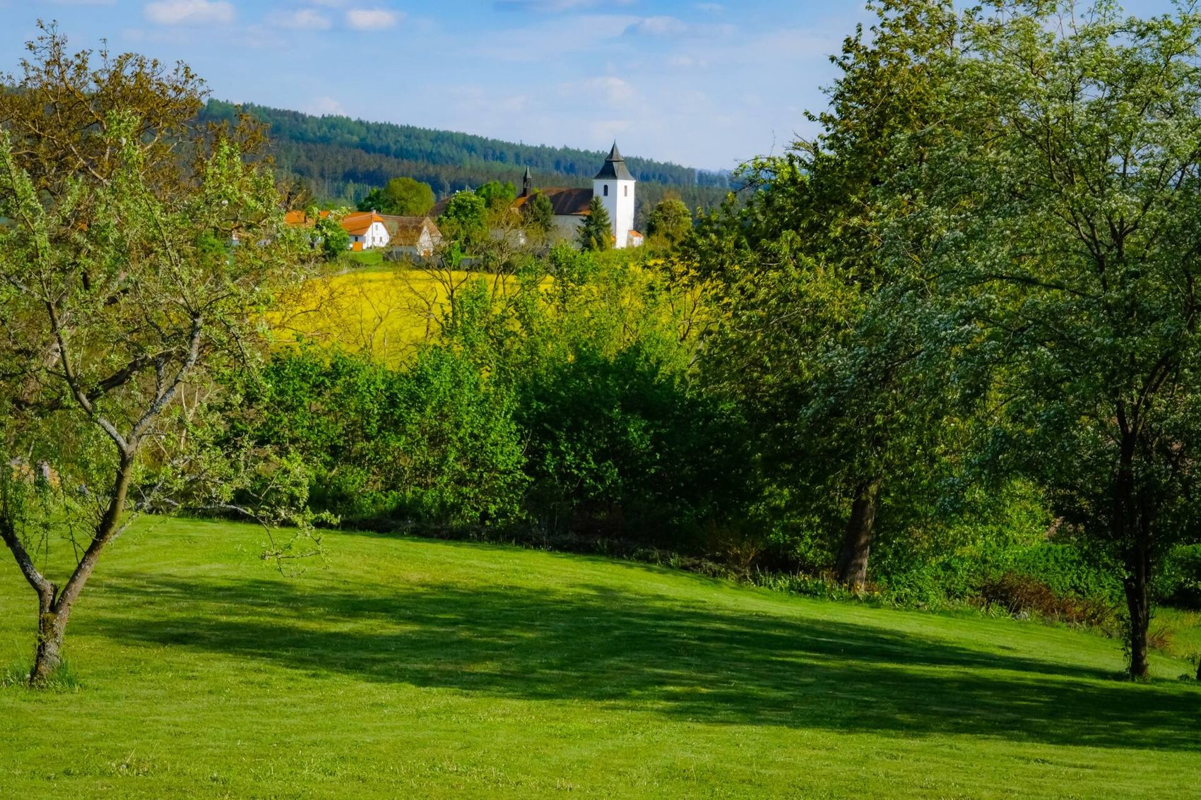 Zahrada s ovocnými stromy, za ní řepkové pole a vesnice s bílým kostelem pod lesem